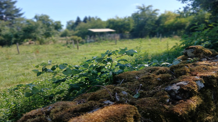 Ma-Cabane - Vente Terrain Montecheroux, 400 m²
