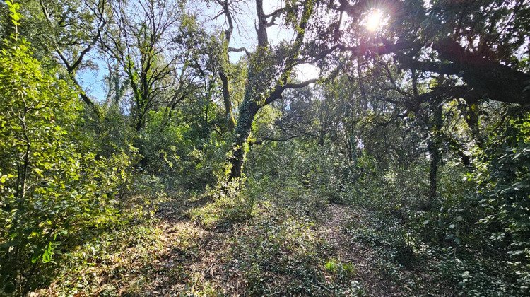 Ma-Cabane - Vente Terrain MONTELIMAR, 1309 m²