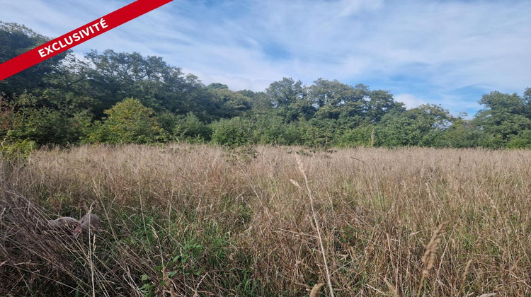 Ma-Cabane - Vente Terrain MONTENEUF, 56990 m²