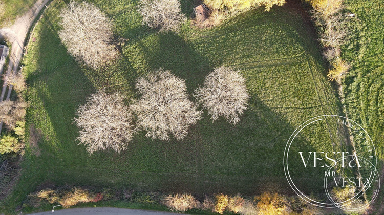 Ma-Cabane - Vente Terrain Montenois, 982 m²