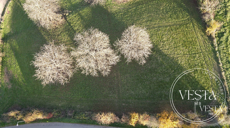 Ma-Cabane - Vente Terrain Montenois, 982 m²