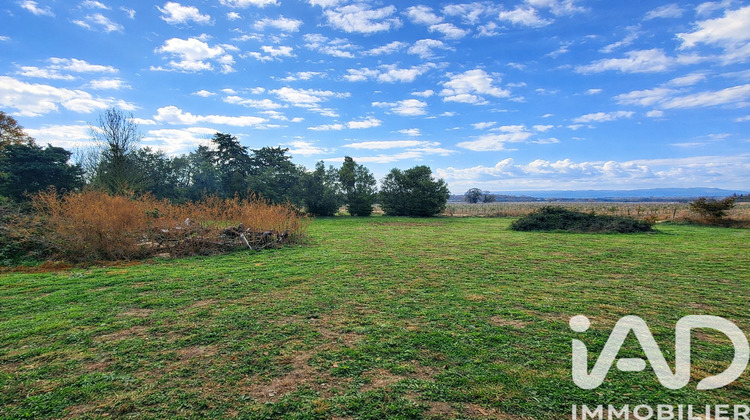 Ma-Cabane - Vente Terrain Montescot, 3443 m²