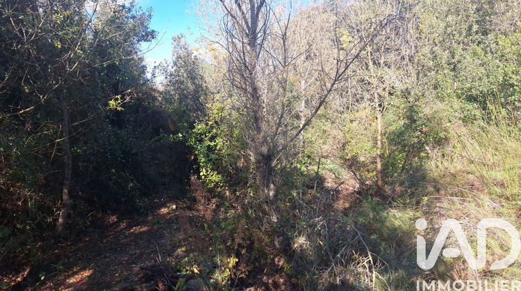 Ma-Cabane - Vente Terrain Montesquieu des Albères, 5345 m²