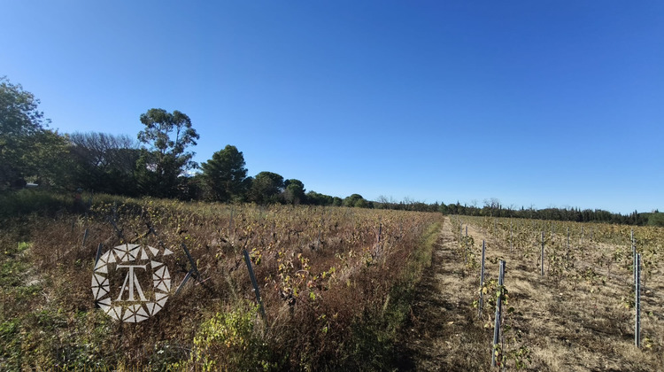 Ma-Cabane - Vente Terrain Montesquieu-des-Albères, 4247 m²