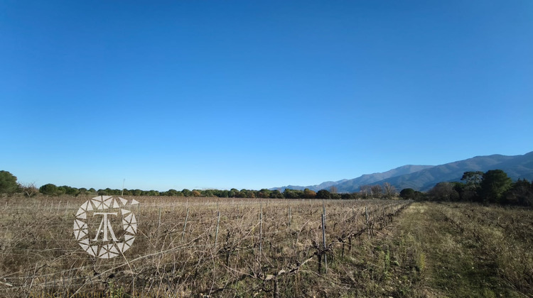 Ma-Cabane - Vente Terrain Montesquieu-des-Albères, 4247 m²