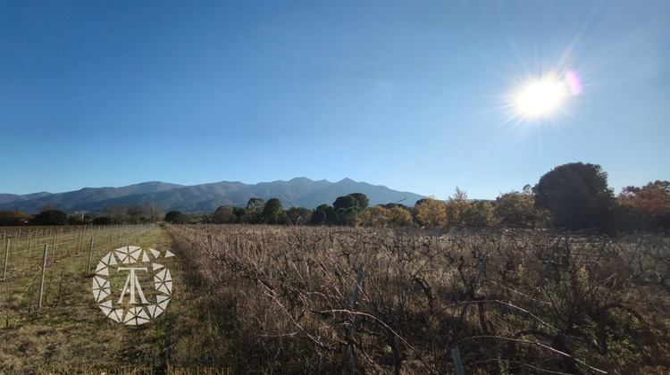 Ma-Cabane - Vente Terrain Montesquieu-des-Albères, 4247 m²