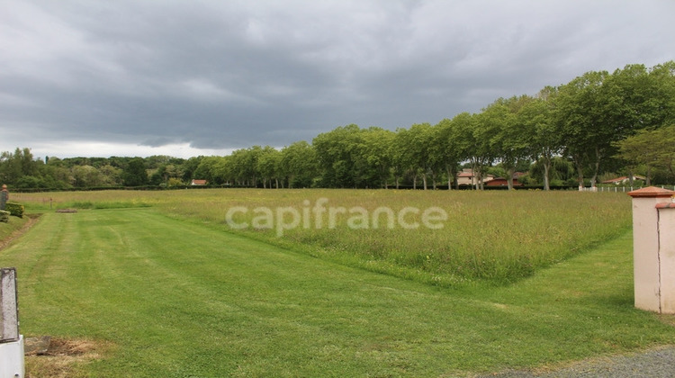 Ma-Cabane - Vente Terrain MONTESQUIEU VOLVESTRE, 1820 m²