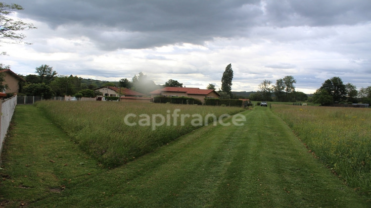 Ma-Cabane - Vente Terrain MONTESQUIEU VOLVESTRE, 1820 m²