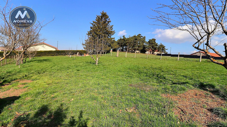 Ma-Cabane - Vente Terrain MONTFAUCON-EN-VELAY, 840 m²