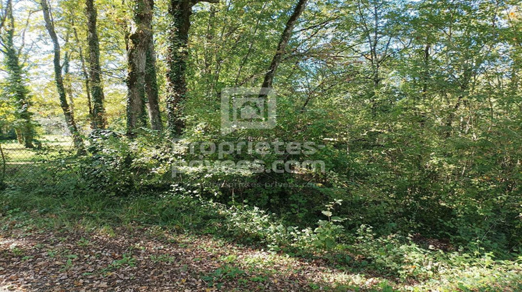 Ma-Cabane - Vente Terrain MONTGESTY, 4515 m²