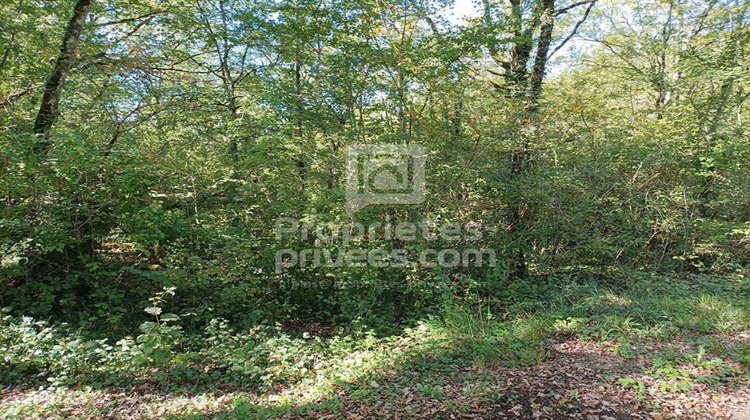 Ma-Cabane - Vente Terrain MONTGESTY, 4515 m²