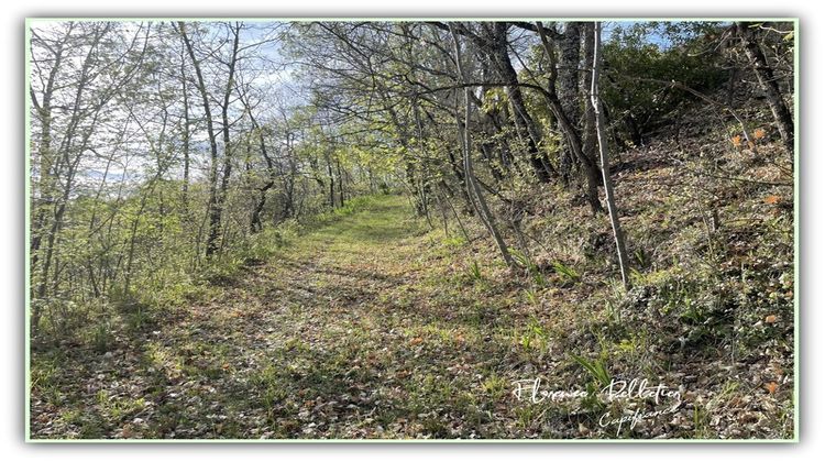 Ma-Cabane - Vente Terrain MONTGEY, 2100 m²