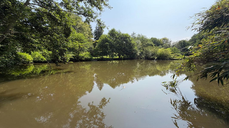 Ma-Cabane - Vente Terrain MONTGOBERT, 12000 m²
