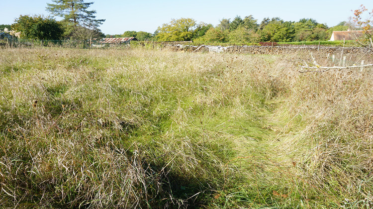Ma-Cabane - Vente Terrain MONTHOU-SUR-CHER, 1175 m²