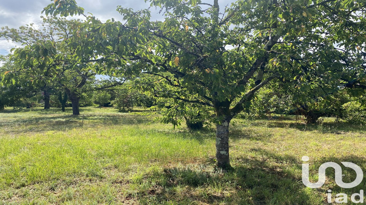 Ma-Cabane - Vente Terrain Montigny-sur-Loing, 732 m²