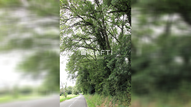 Ma-Cabane - Vente Terrain Montjoire, 1188 m²