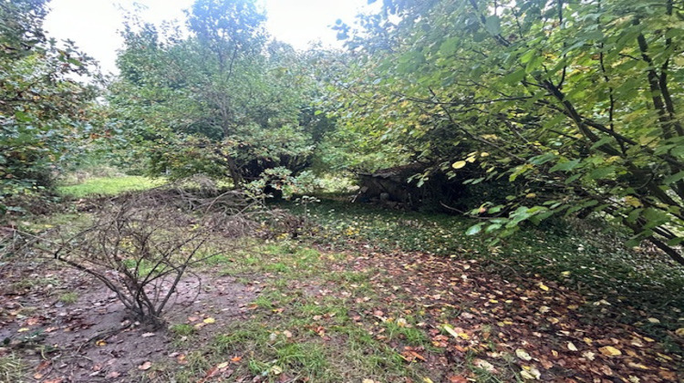 Ma-Cabane - Vente Terrain Montlhéry, 1150 m²