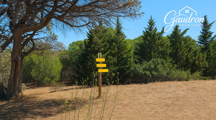 Ma-Cabane - Vente Terrain Montner, 6070 m²