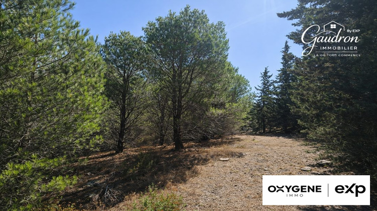 Ma-Cabane - Vente Terrain Montner, 6070 m²