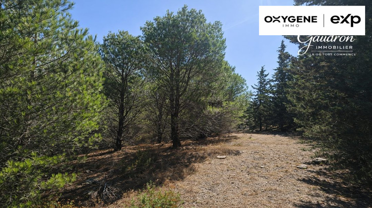 Ma-Cabane - Vente Terrain Montner, 6070 m²