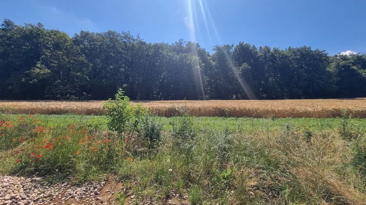 Ma-Cabane - Vente Terrain MONTOIS LA MONTAGNE, 455 m²