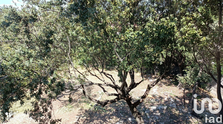 Ma-Cabane - Vente Terrain Montpellier, 420 m²