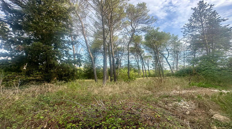 Ma-Cabane - Vente Terrain MONTPELLIER, 1041 m²