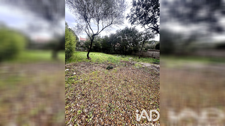 Ma-Cabane - Vente Terrain Montpellier, 420 m²