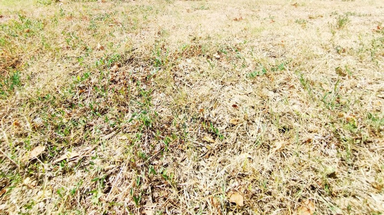 Ma-Cabane - Vente Terrain MONTPELLIER, 850 m²