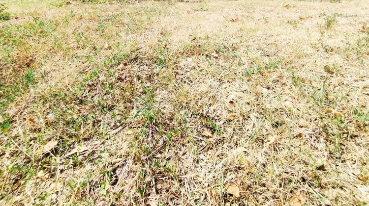 Ma-Cabane - Vente Terrain MONTPELLIER, 850 m²