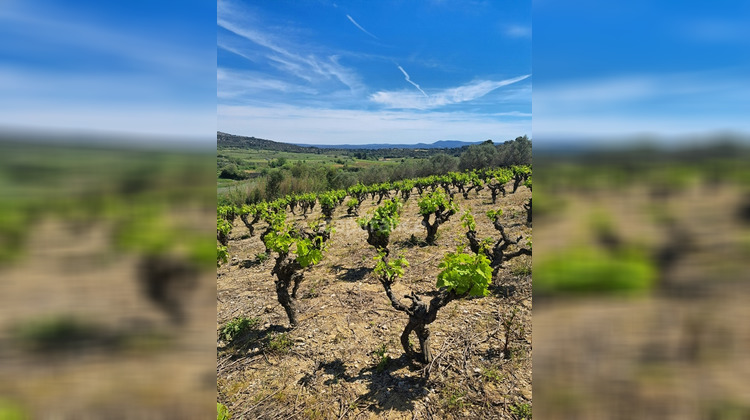 Ma-Cabane - Vente Terrain MONTPEYROUX, 569 m²