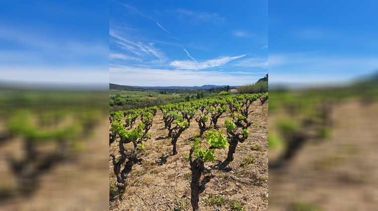 Ma-Cabane - Vente Terrain MONTPEYROUX, 569 m²