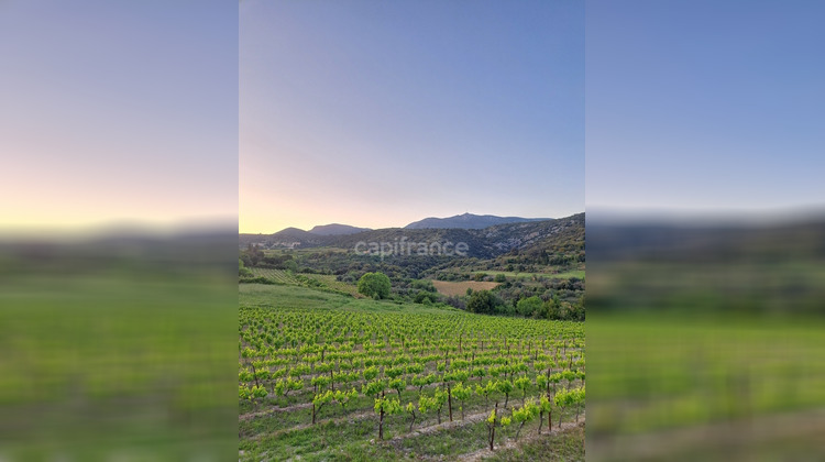 Ma-Cabane - Vente Terrain MONTPEYROUX, 569 m²