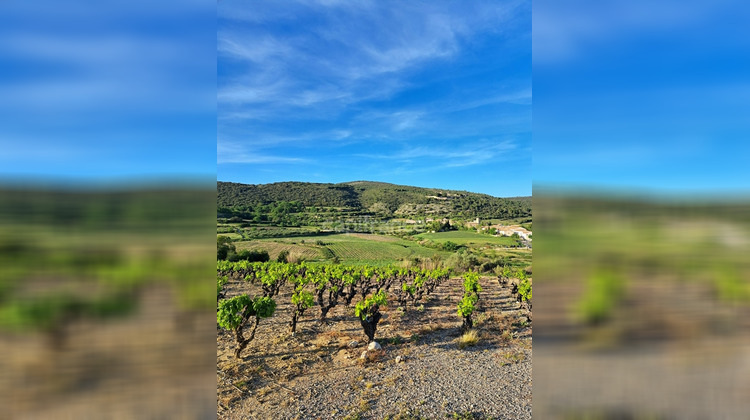 Ma-Cabane - Vente Terrain MONTPEYROUX, 569 m²