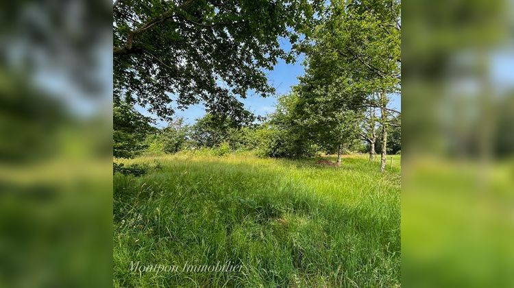 Ma-Cabane - Vente Terrain MONTPON-MENESTEROL, 2864 m²