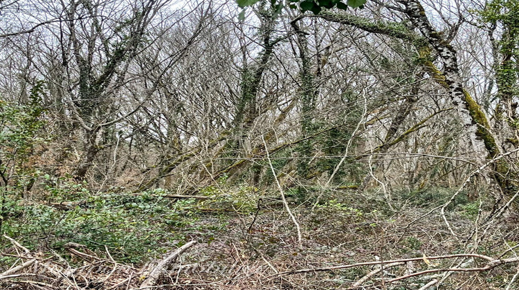 Ma-Cabane - Vente Terrain MONTPON-MENESTEROL, 5914 m²