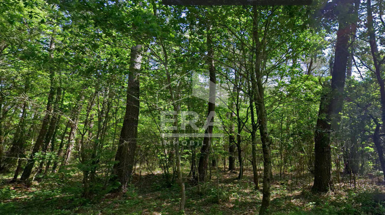 Ma-Cabane - Vente Terrain MONTPON-MENESTEROL, 8870 m²
