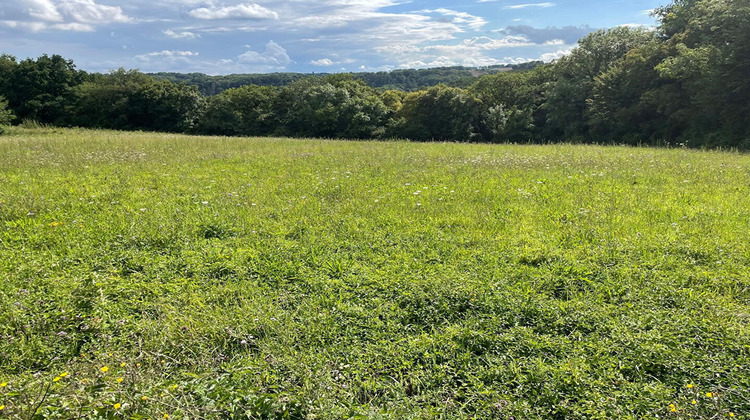 Ma-Cabane - Vente Terrain MONTREUIL-AUX-LIONS, 2261 m²