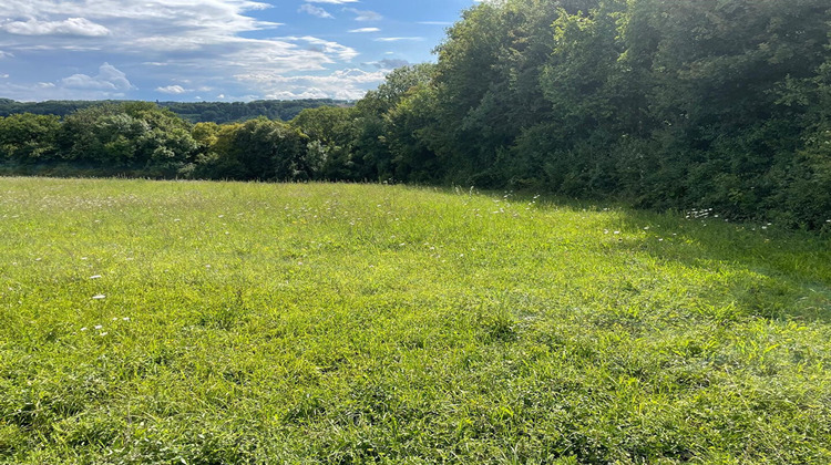 Ma-Cabane - Vente Terrain MONTREUIL-AUX-LIONS, 2209 m²