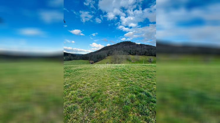 Ma-Cabane - Vente Terrain MONTSERIE, 3278 m²