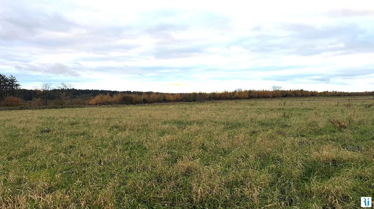 Ma-Cabane - Vente Terrain MONTVILLE, 1360 m²