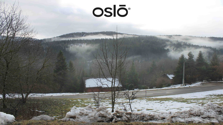 Ma-Cabane - Vente Terrain Morbier, 1013 m²