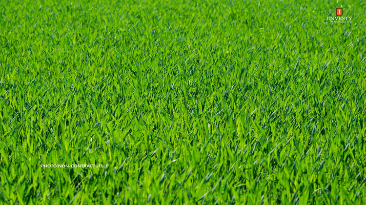 Ma-Cabane - Vente Terrain Moréac, 430 m²