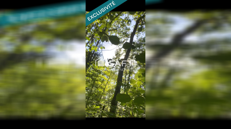 Ma-Cabane - Vente Terrain Morlanne, 7032 m²