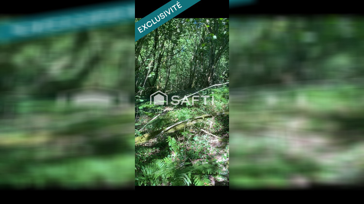 Ma-Cabane - Vente Terrain Morlanne, 7032 m²