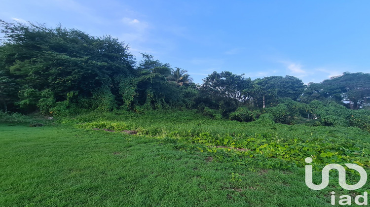 Ma-Cabane - Vente Terrain Morne-à-l'Eau, 963 m²