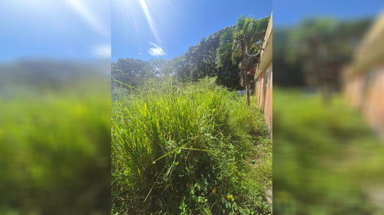 Ma-Cabane - Vente Terrain MORNE-ROUGE, 365 m²