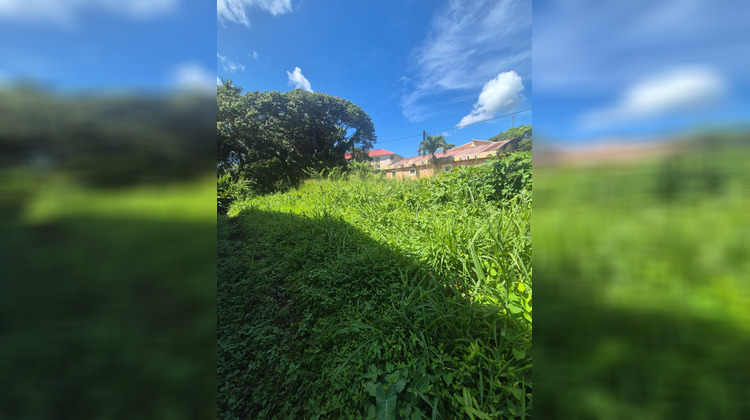 Ma-Cabane - Vente Terrain MORNE-ROUGE, 365 m²