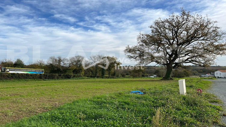 Ma-Cabane - Vente Terrain Mouchamps, 467 m²