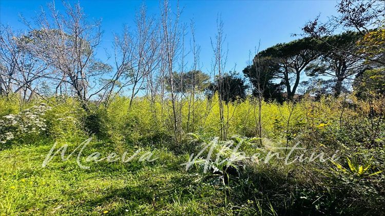 Ma-Cabane - Vente Terrain MOUGINS, 3702 m²